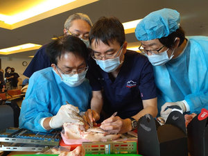 實作課程示範手術